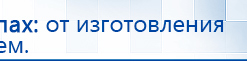 Электрод Скэнар - лицевой двойной Пешки купить в Костроме, Электроды Скэнар купить в Костроме, Нейродэнс ПКМ официальный сайт - denasdevice.ru
